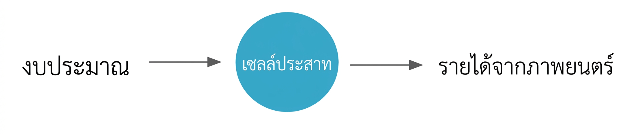 การแมประหว่างตัวแปรโดยมีนิวรอนอยู่ตรงกลาง