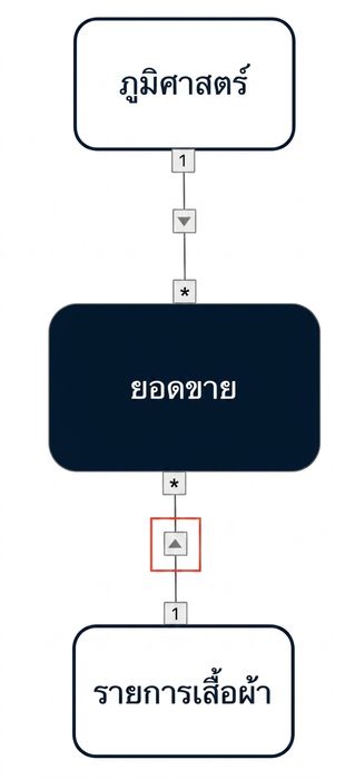 Data model ที่มี cross filter ทิศทางเดียวจาก dimension ทั้งสองไปยัง fact