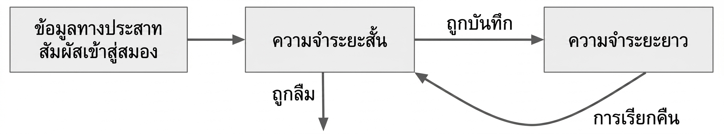 วิธีทำงานของหน่วยความจำระยะสั้น