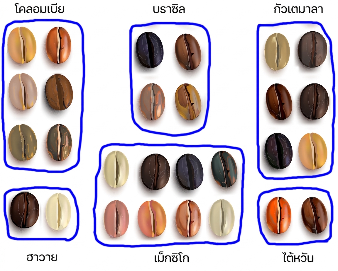 เมล็ดกาแฟจัดกลุ่มตามประเทศต้นทาง