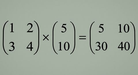 อาร์เรย์รูปทรง (2, 2) ถูกคูณกับอาร์เรย์รูปทรง (2, 1)
