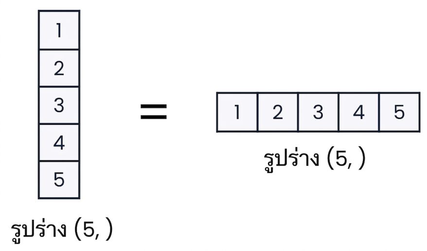 ภาพแสดงว่าอาร์เรย์ 1 มิติใน NumPy ไม่มีทิศทางแนวตั้งหรือแนวนอน