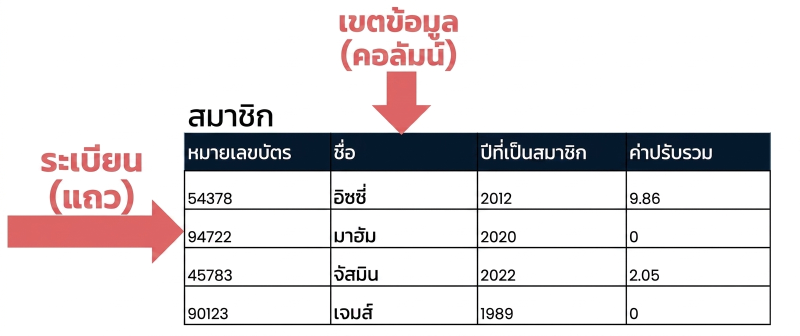 ตาราง patrons พร้อมระบุ records และ fields