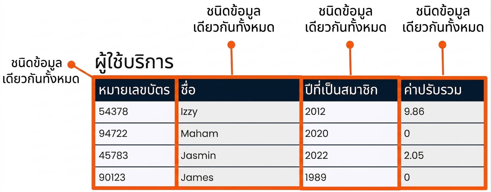 ตาราง patrons ที่มีการไฮไลต์แต่ละฟิลด์และระบุว่าแต่ละฟิลด์มีชนิดข้อมูลต่างกัน