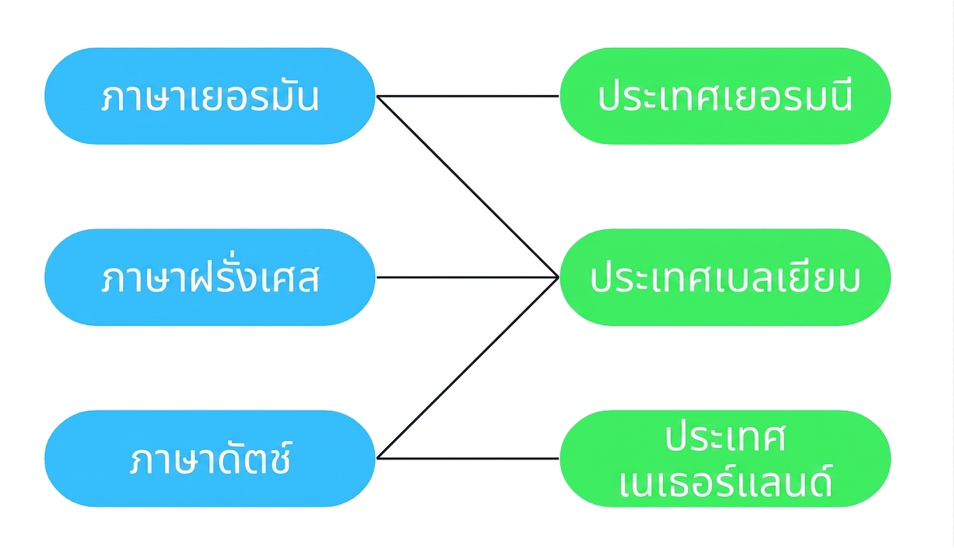 ไดอะแกรมแสดงว่าภาษาหลายภาษาสามารถเชื่อมโยงกับหลายประเทศได้ และหลายประเทศก็สามารถเชื่อมโยงกับภาษาเดียวได้ เบลเยียมมีภาษาราชการสามภาษา ได้แก่ ฝรั่งเศส เยอรมัน และดัตช์ ในทางกลับกัน ภาษาหนึ่งภาษาอาจเป็นภาษาราชการในหลายประเทศ เช่น ภาษาดัตช์เป็นภาษาราชการทั้งในเนเธอร์แลนด์และเบลเยียม แต่ไม่ใช่ในเยอรมนี