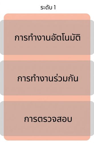 ความสมบูรณ์ระดับ 1