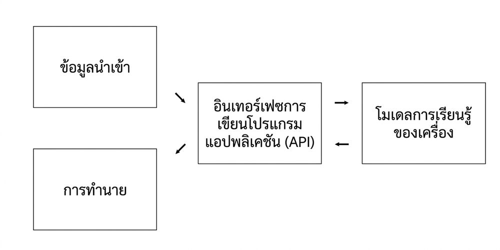 Application programming interface excluding information