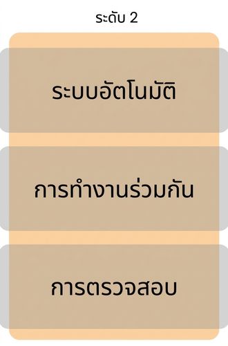 ความสมบูรณ์ระดับ 2