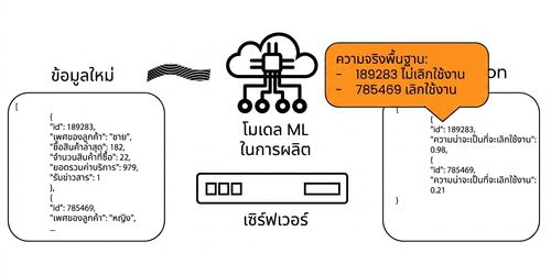 ข้อมูลป้อนกลับการติดตามเชิงสถิติ