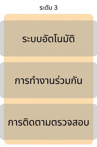 ความสมบูรณ์ระดับ 3