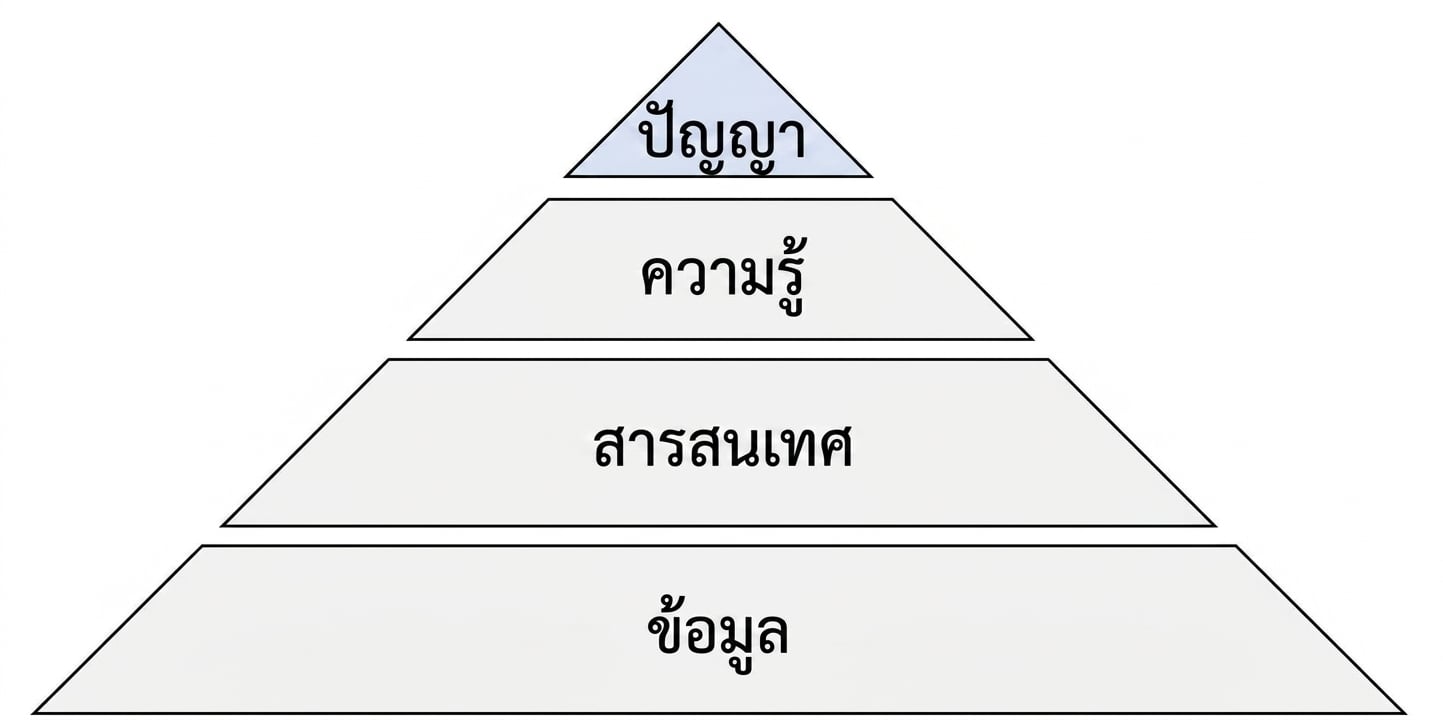 แผนภาพพีระมิด DIKW โดยไฮไลต์ขั้น Wisdom
