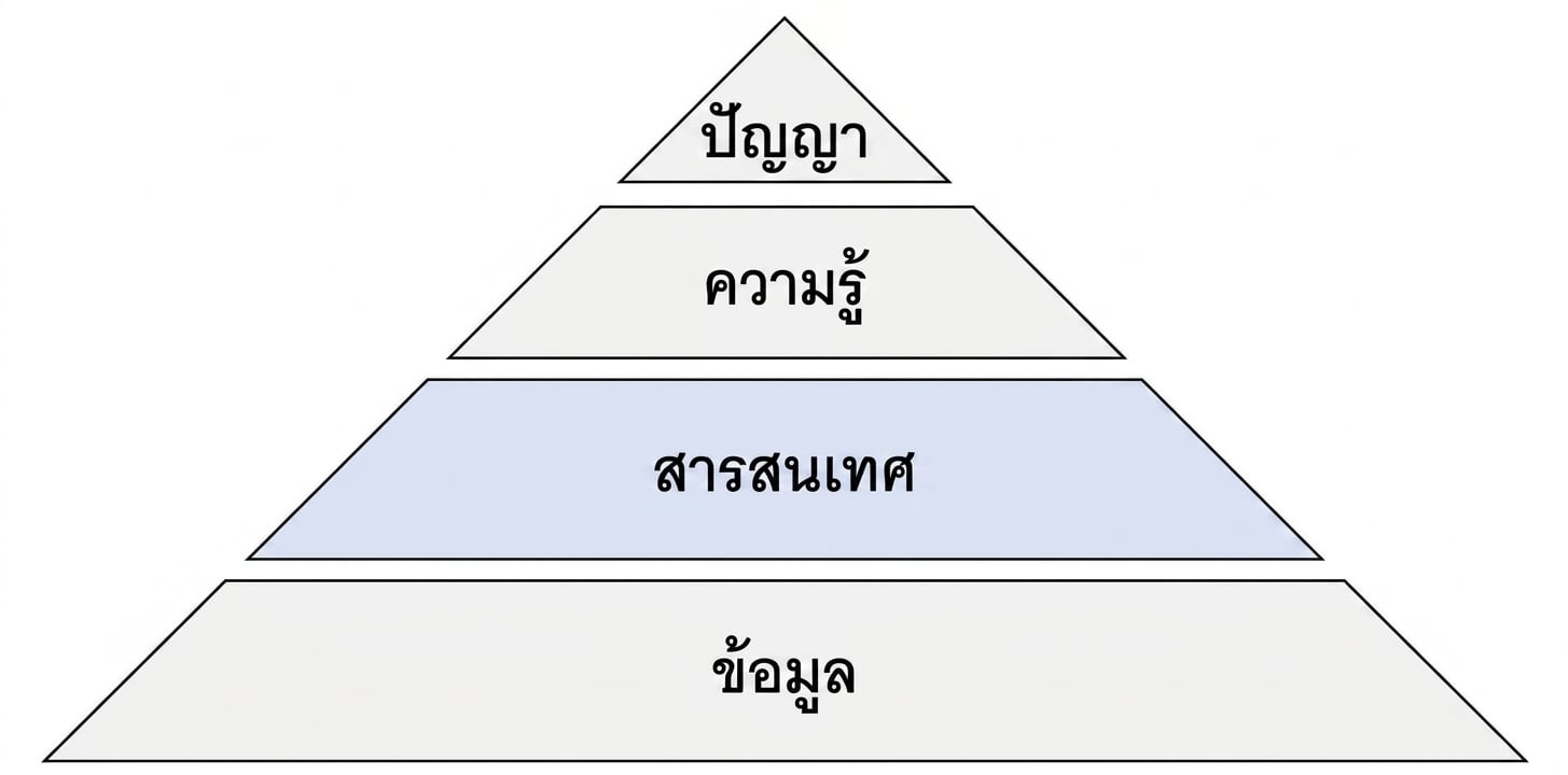 แผนภาพพีระมิด DIKW โดยไฮไลต์ขั้น Information