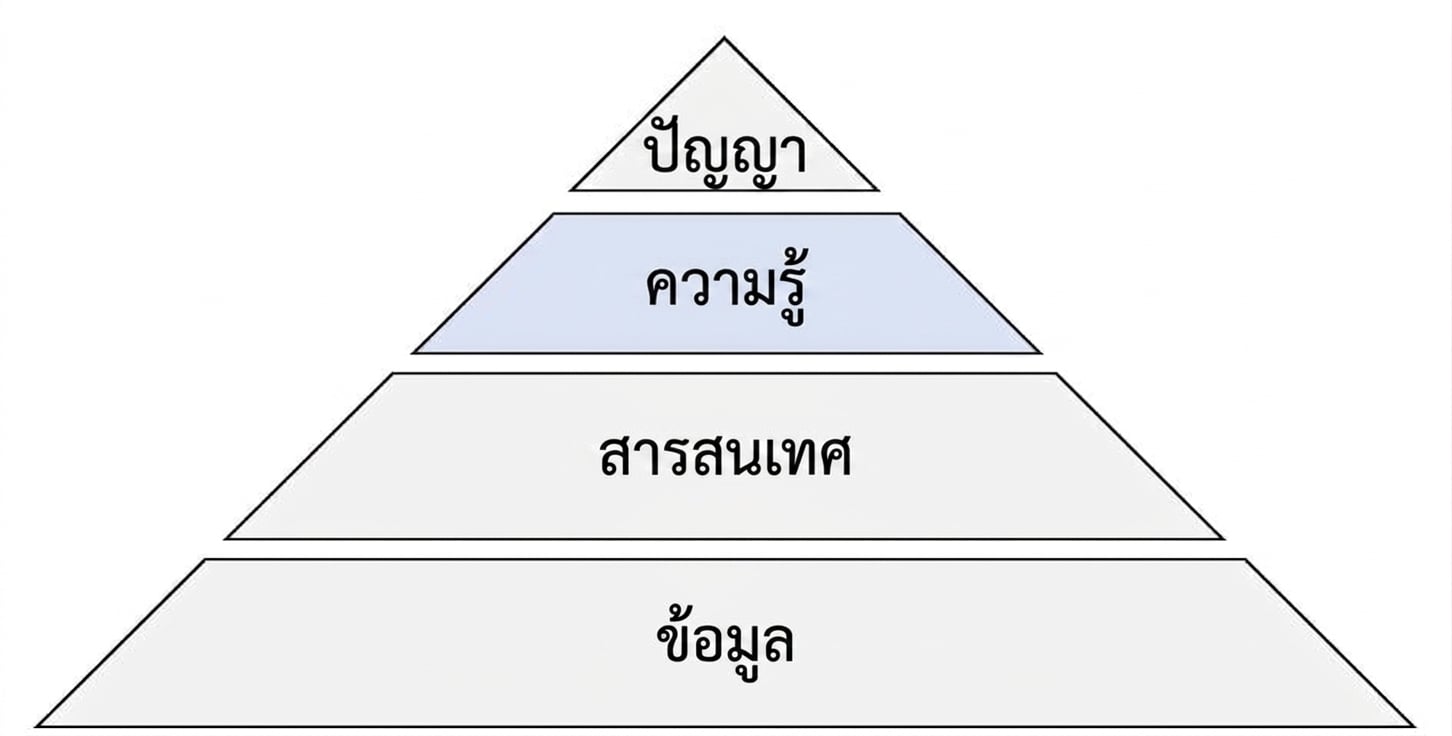 แผนภาพพีระมิด DIKW โดยไฮไลต์ขั้น Knowledge