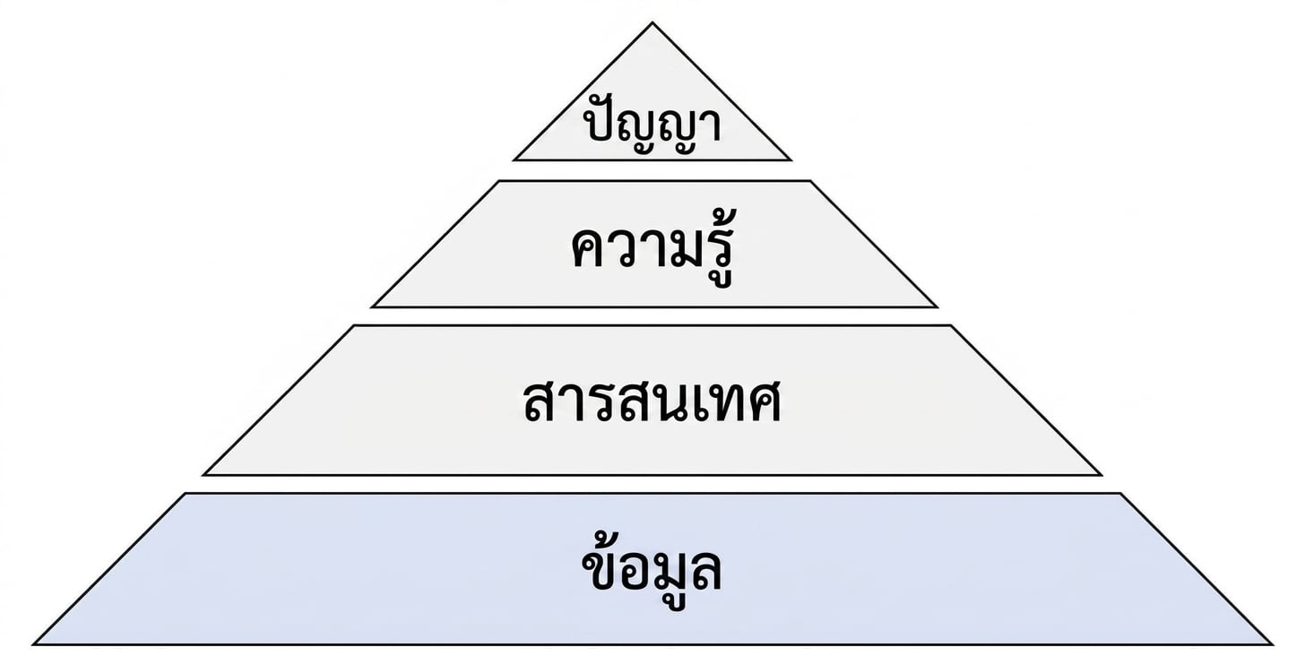 แผนภาพพีระมิด DIKW โดยไฮไลต์ขั้น Data