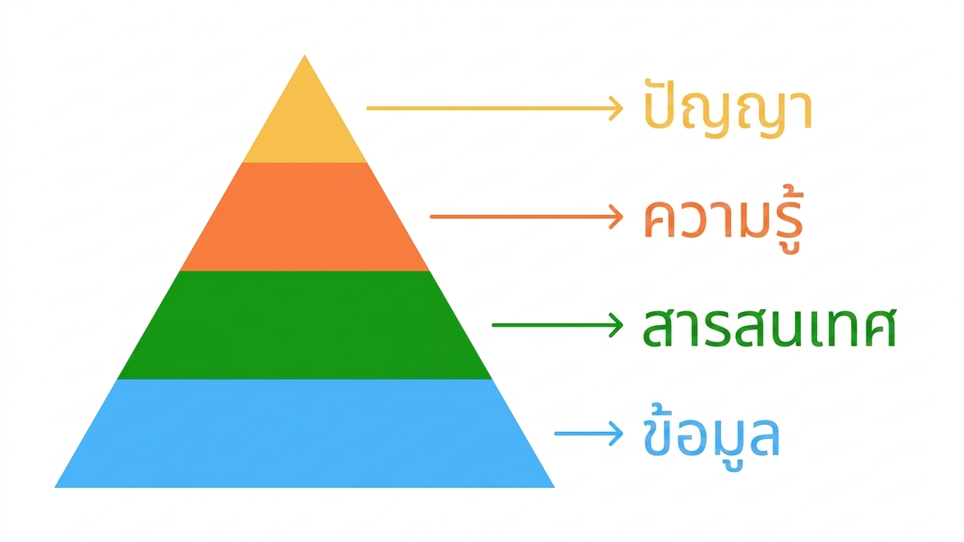 พีระมิด DIKW