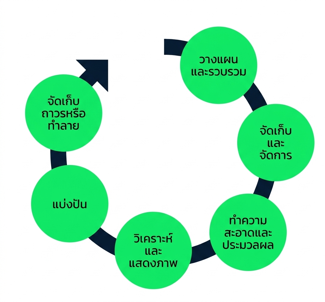 วงจรชีวิตของข้อมูล