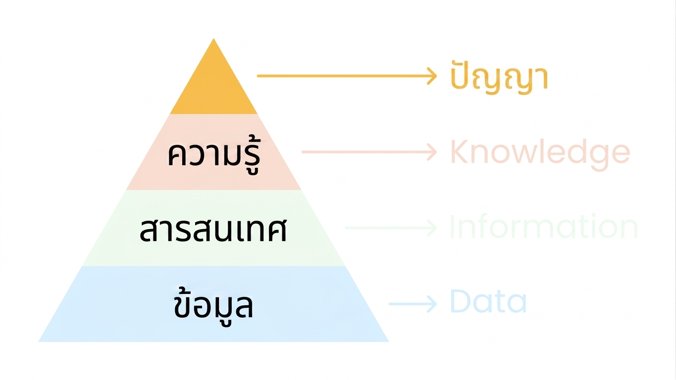 พีระมิด DIKW ที่เน้นส่วนปัญญา