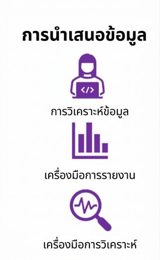 ไอคอนรูปบุคคลใช้คอมพิวเตอร์ ไอคอนรายงาน และไอคอนแว่นขยาย
