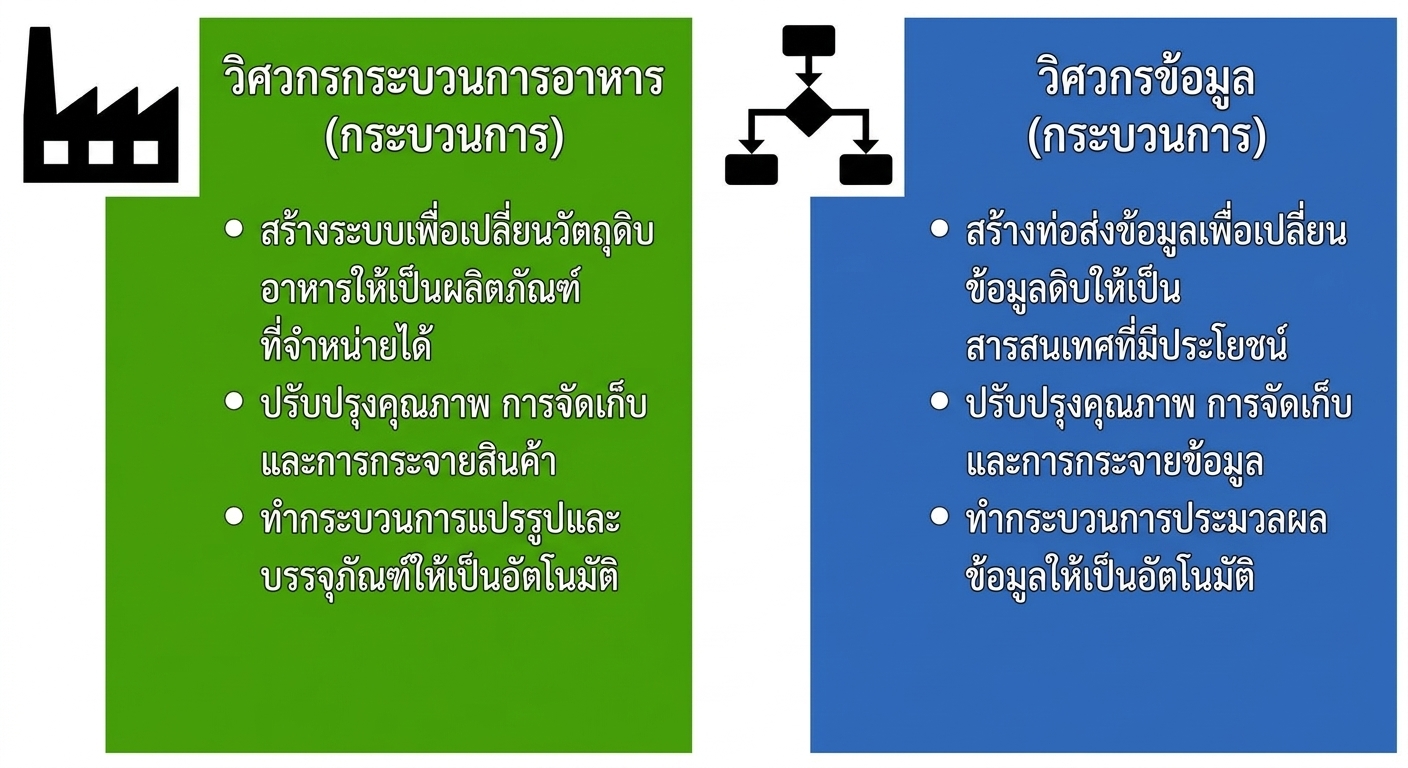 ภาพแสดงความรับผิดชอบของวิศวกรกระบวนการอาหารและวิศวกรข้อมูล