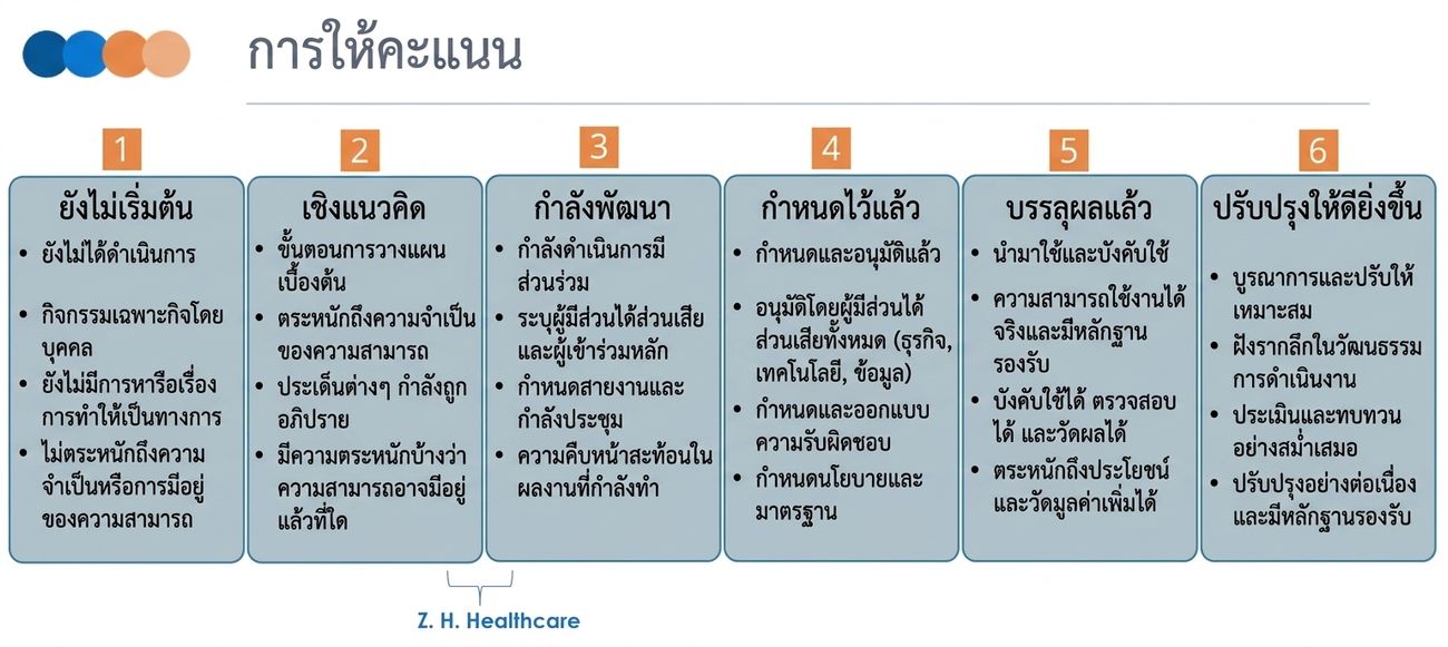 ภาพแสดง DCAM Rating Scale และคะแนนของ ZH Healthcare