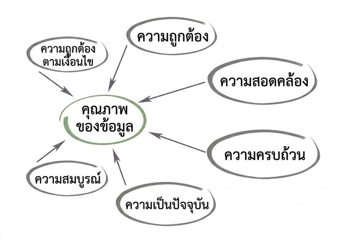 แผนภาพแสดงคุณภาพข้อมูลอยู่ตรงกลาง โดยมีความสมเหตุสมผล ความถูกต้อง ความสอดคล้อง ความครบถ้วน ความทันเวลา และความสมบูรณ์ชี้เข้าหากัน
