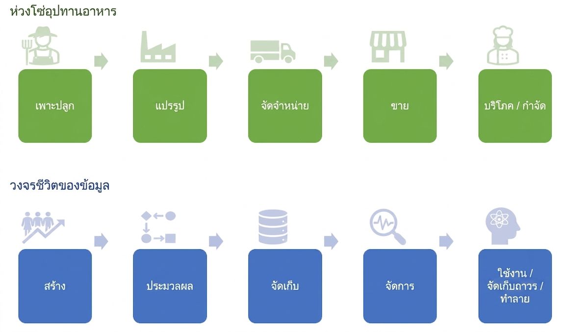 ห่วงโซ่อุปทานอาหารและวงจรชีวิตข้อมูล