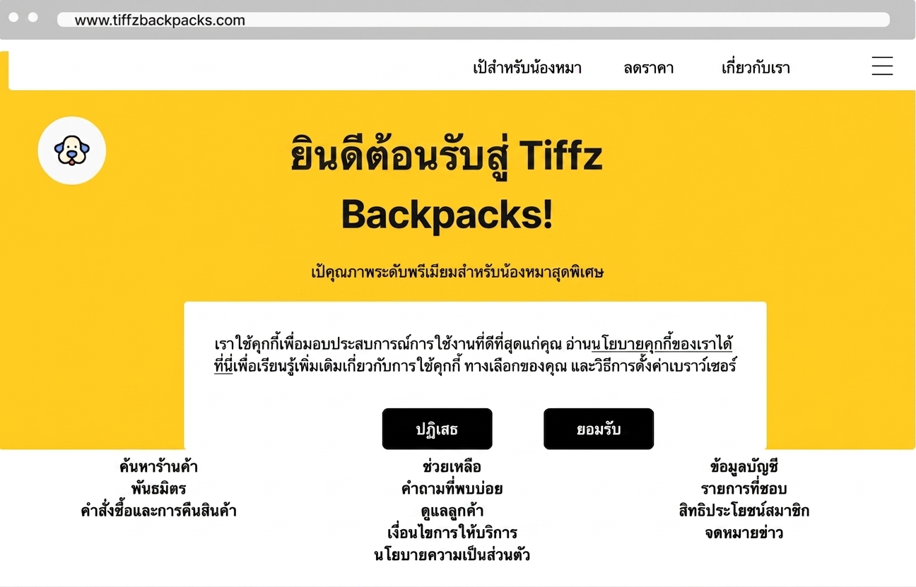 Tiffz backpacks landing page