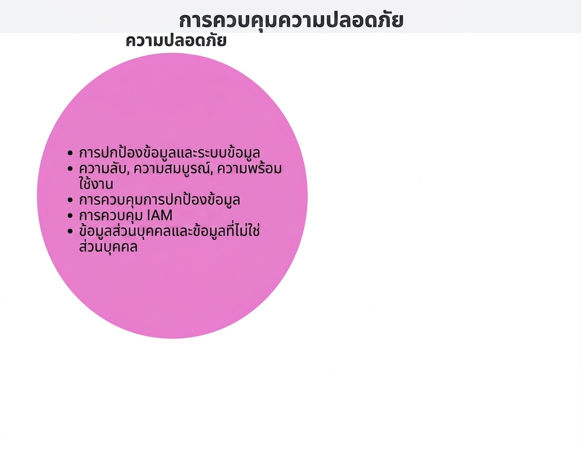 วงกลมการควบคุมความปลอดภัย