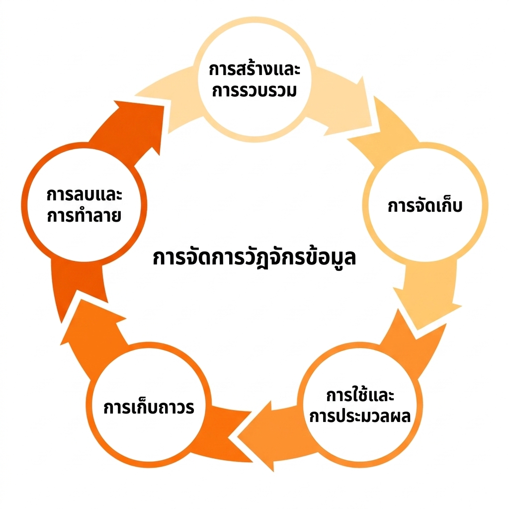 การจัดการวงจรชีวิตข้อมูล