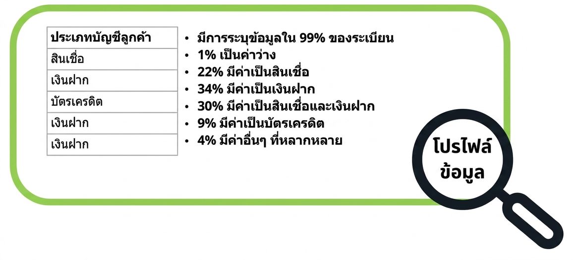 ตัวอย่างโปรไฟล์ข้อมูล