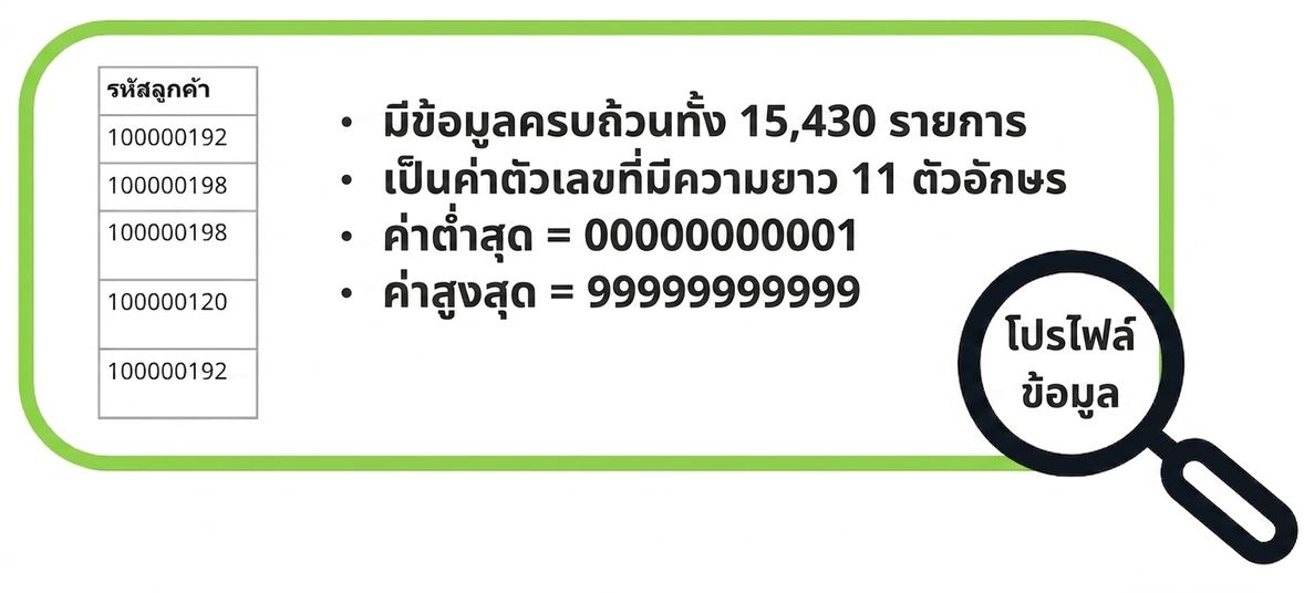ตัวอย่างโปรไฟล์ข้อมูล