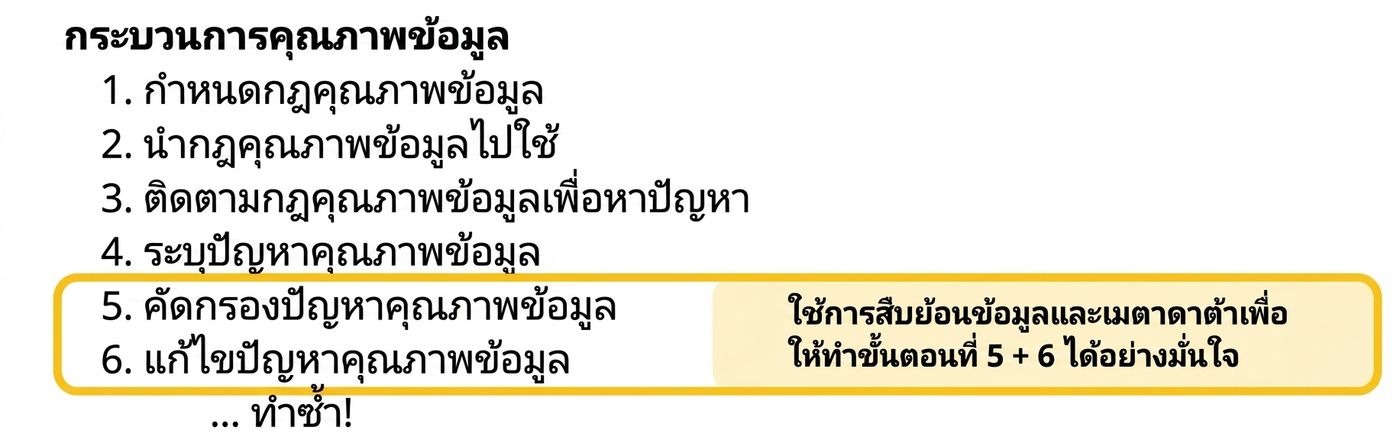 กระบวนการคุณภาพข้อมูลที่เน้นขั้นตอนการคัดแยกและแก้ไข