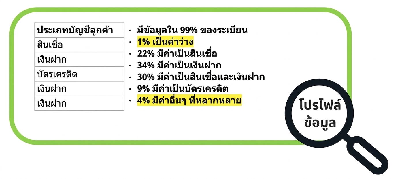 ตัวอย่าง Data Profile