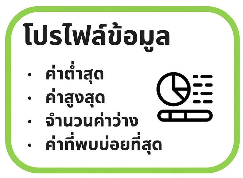ตัวอย่างโปรไฟล์ข้อมูล ค่าต่ำสุด ค่าสูงสุด จำนวน null