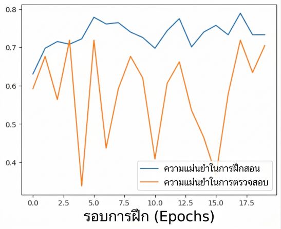 regularization มากเกินไป