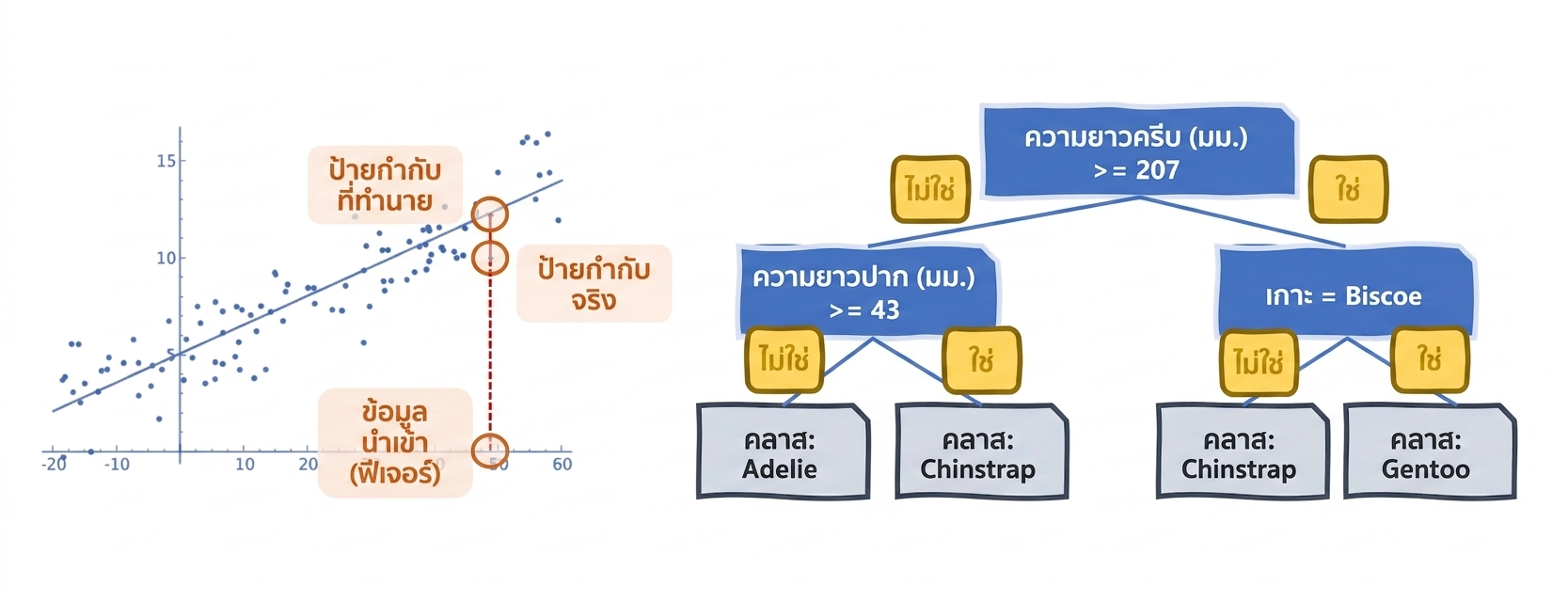 Linear regression และ decision tree