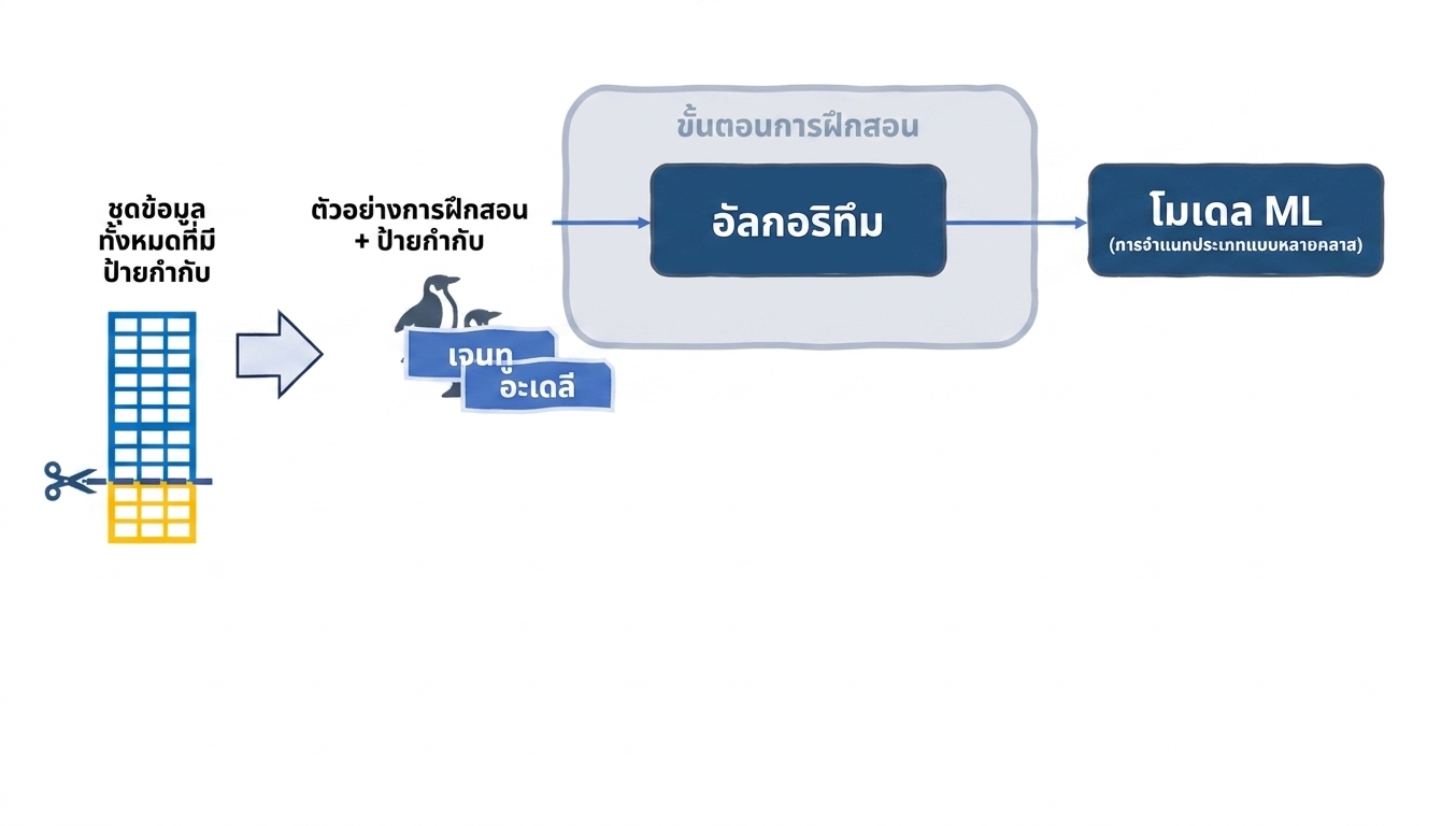การ train โมเดล