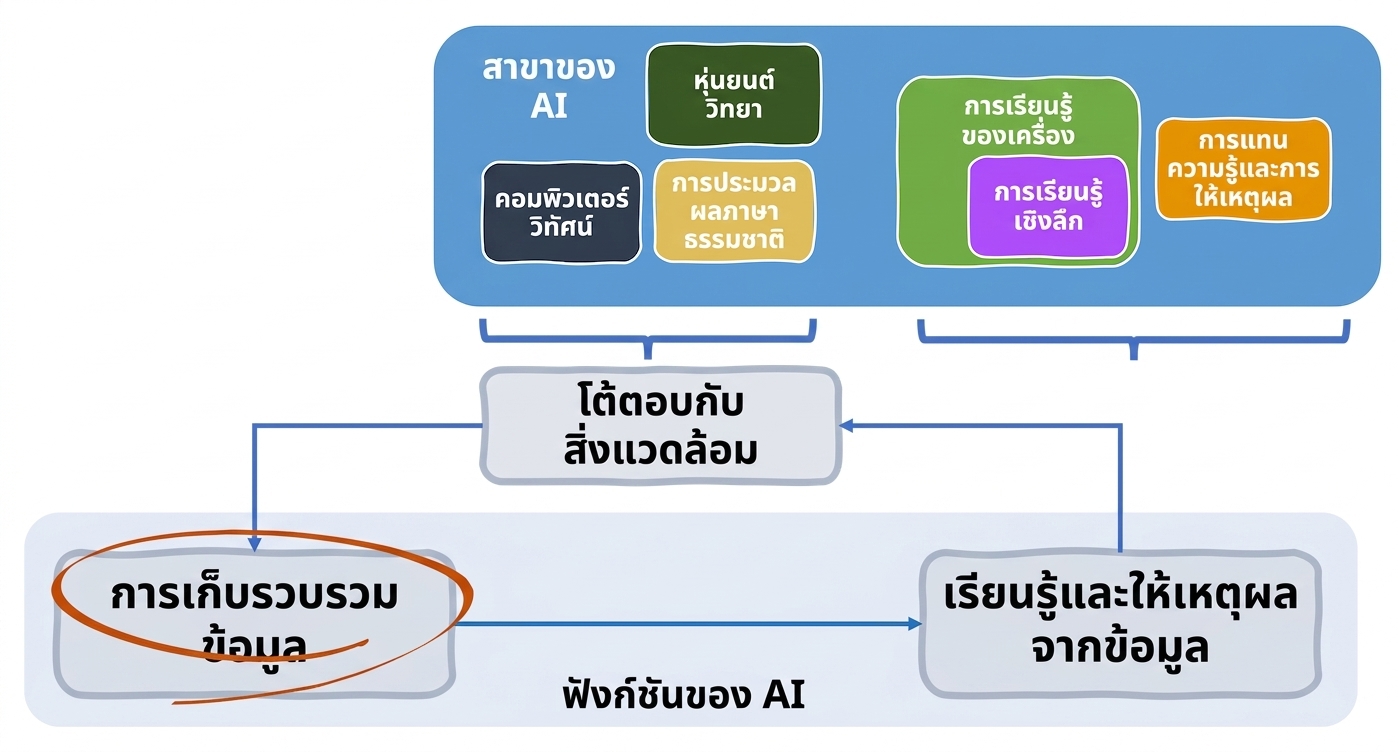 ฟังก์ชันและด้านต่าง ๆ ของ AI