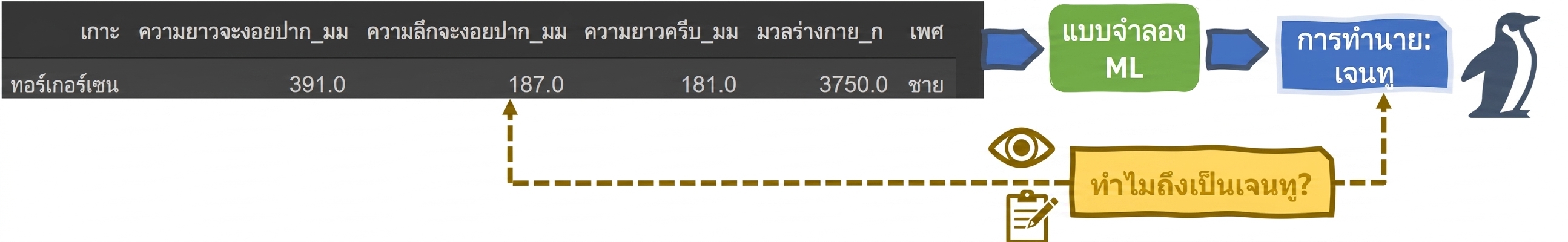 Explainability ในตัวแบบจำแนกเพนกวิน ML