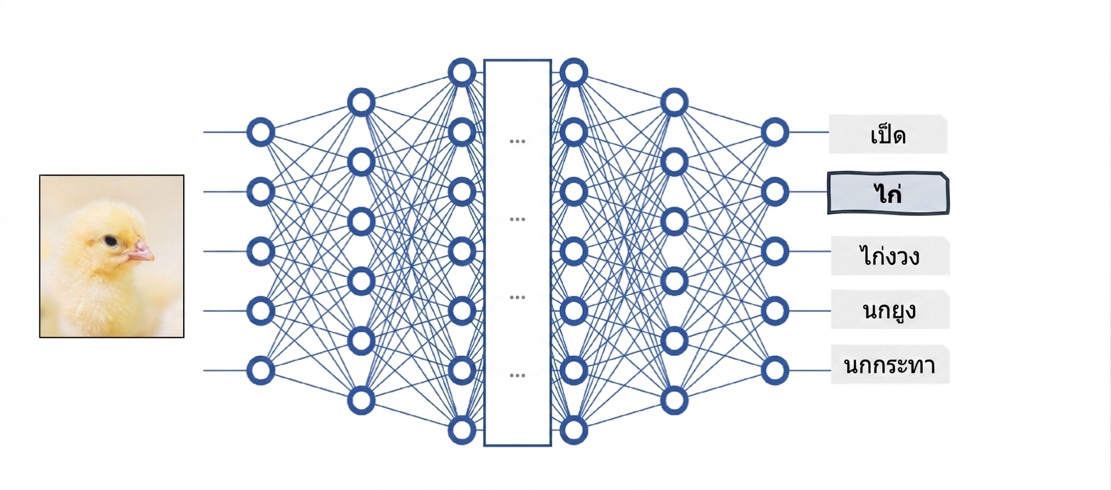 Deep neural network ในฐานะโมเดล black-box