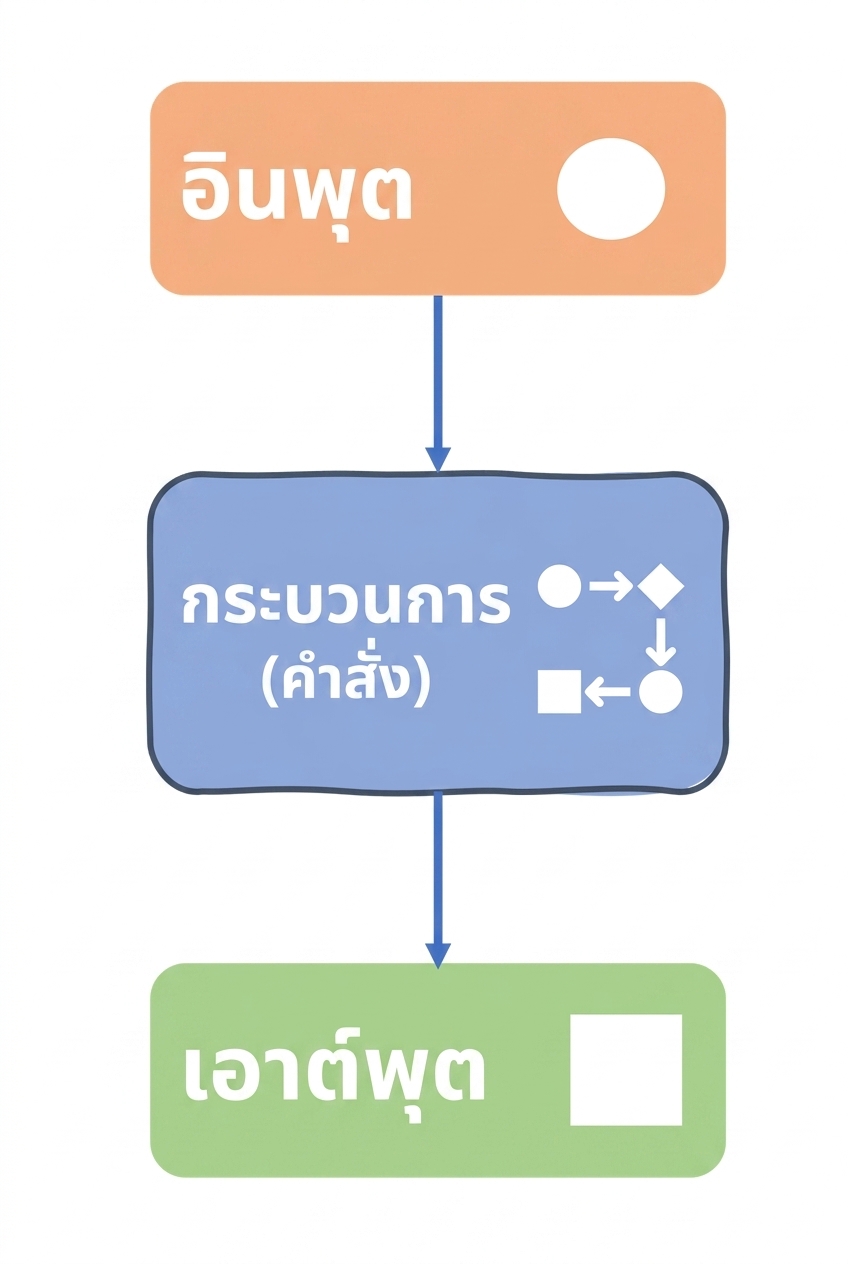 Inputs, process and outputs