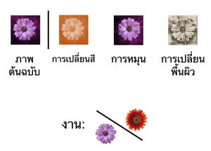 Image of a flower transformed in three ways: using rotation, color shift, and texture change.