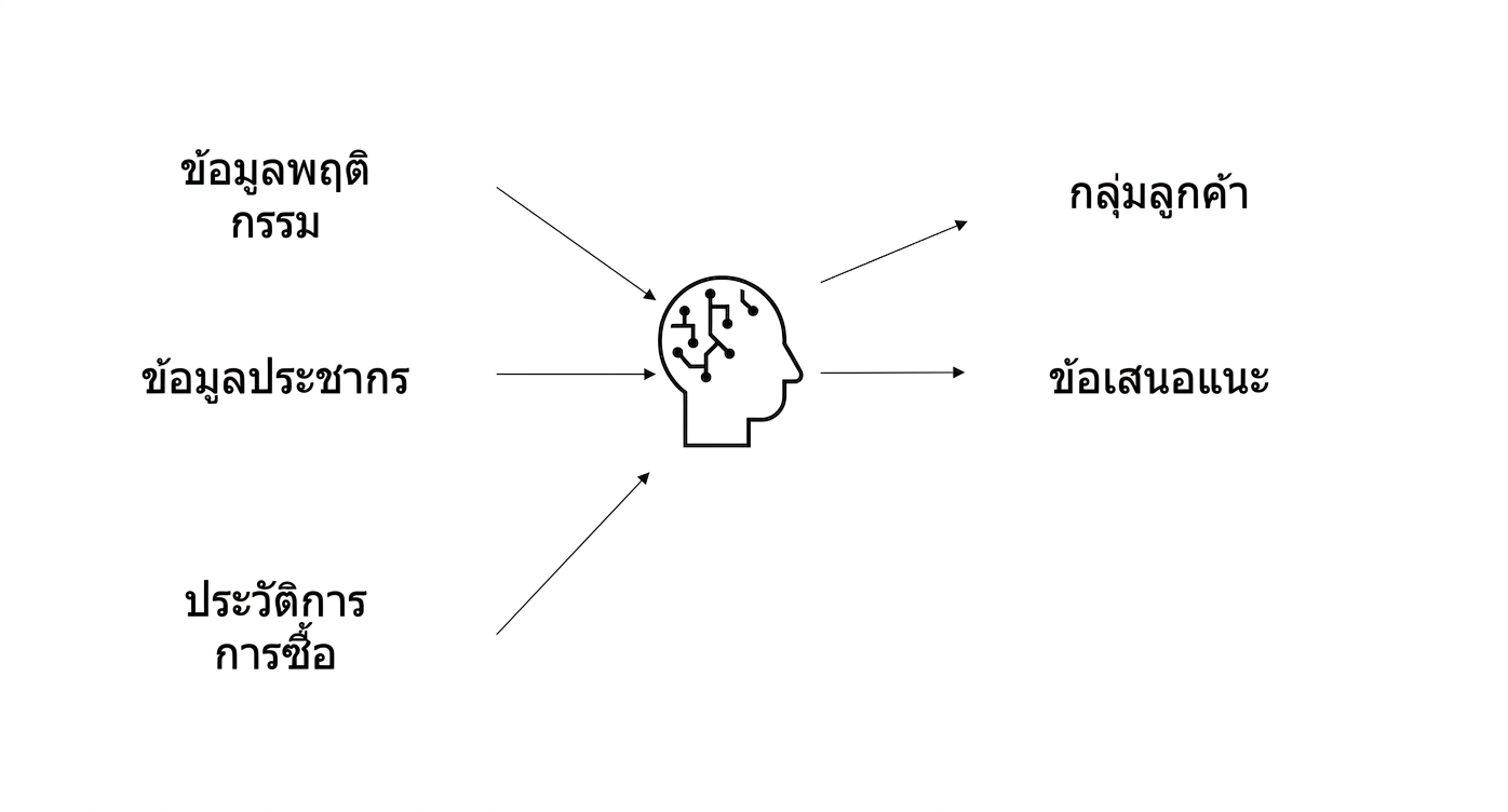 ข้อมูลพฤติกรรม ข้อมูลประชากรศาสตร์ และประวัติการซื้อที่ AI ประมวลผลจนได้คำแนะนำ