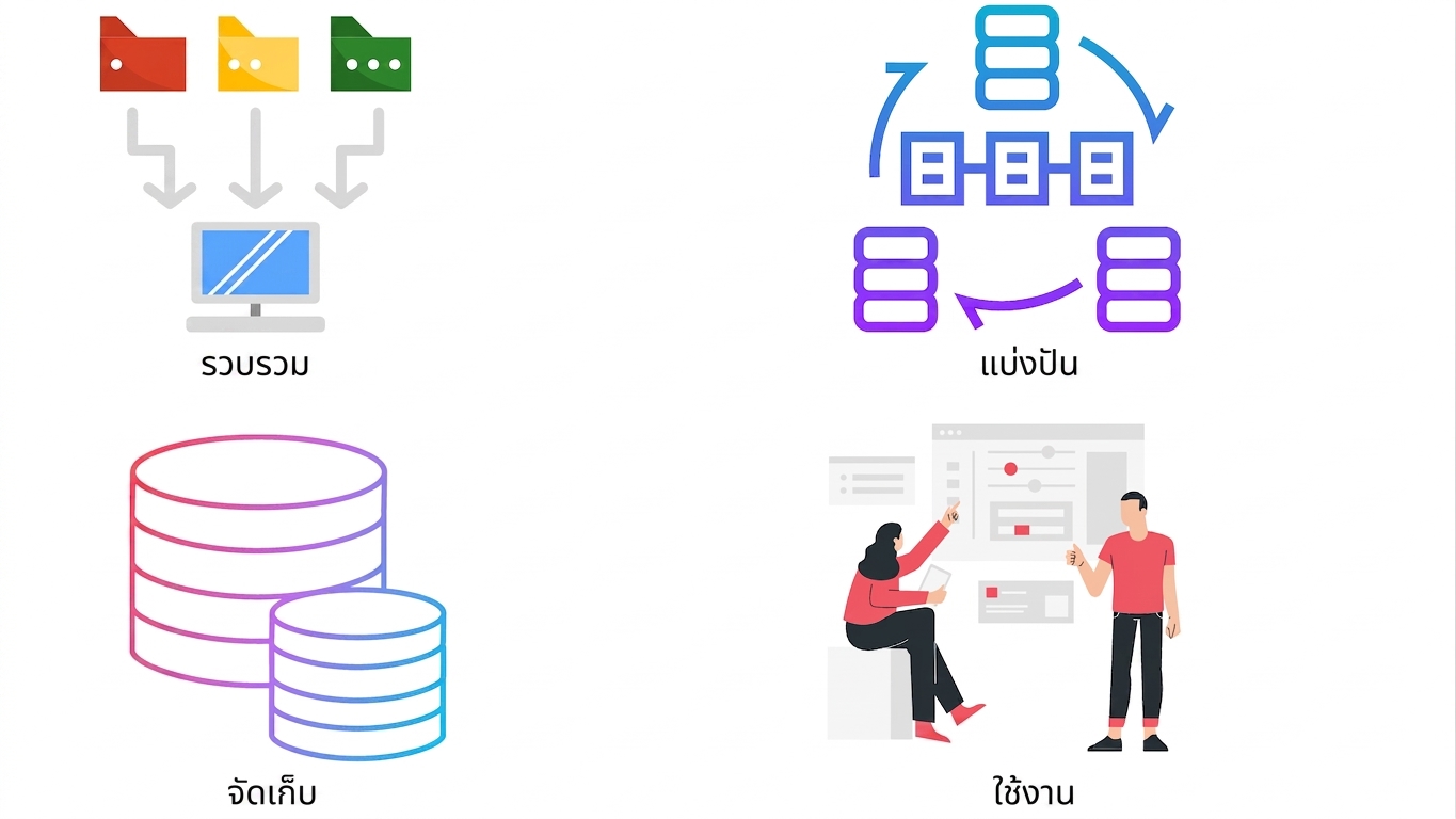 การใช้ข้อมูล