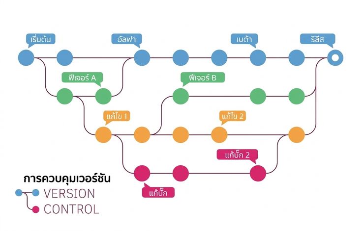 การทดลองทำให้เกิดโค้ดหลายเวอร์ชัน