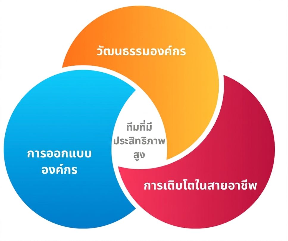 ทีมที่มีประสิทธิภาพสูง