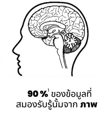 ภาพสมองของมนุษย์