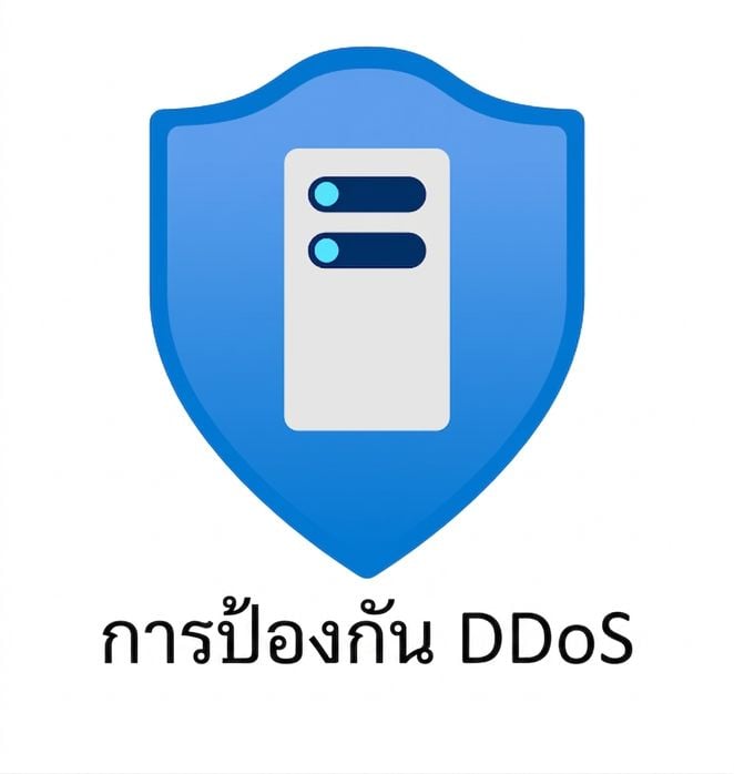 โล่สีน้ำเงินมีข้อความ DDoS protection อยู่ด้านล่าง