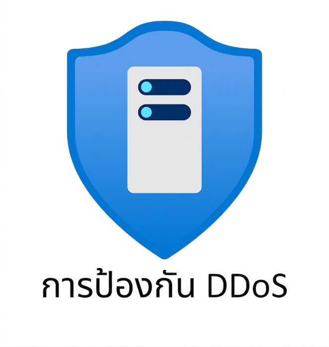 โล่สีน้ำเงินมีข้อความ DDoS protection อยู่ด้านล่าง