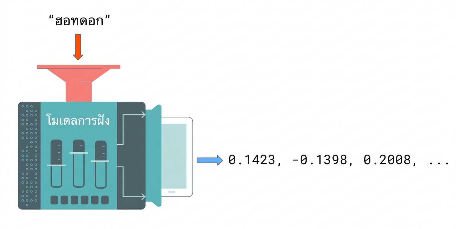 คำหนึ่งถูกป้อนเข้าโมเดล embedding ซึ่งแสดงผลลัพธ์เป็นตัวเลขแทนค่าข้อความ